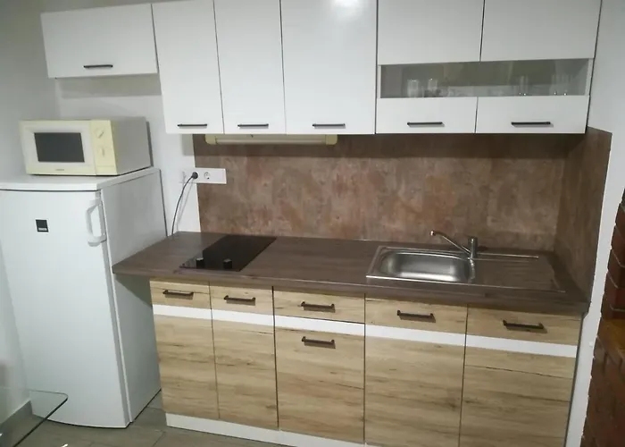 בית הארחה Voeroes Macska Vendeghaz 3*