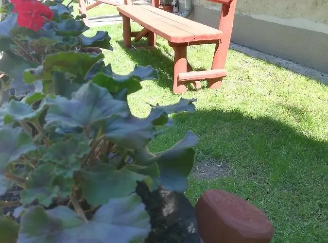 Voeroes Macska Vendeghaz 3*