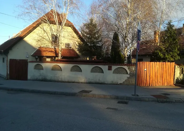 Voeroes Macska Vendeghaz Pensionat Szentkirályszabadja
